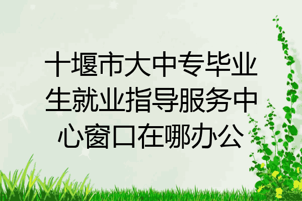 十堰市大中专毕业生就业指导服务中心窗口在哪办公