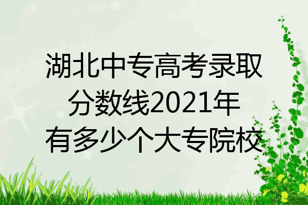 湖北中专高考录取分数线2021年有多少个大专院校