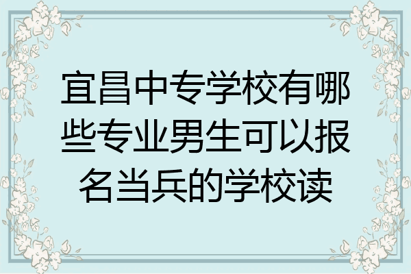 宜昌中专学校有哪些专业男生可以报名当兵的学校读