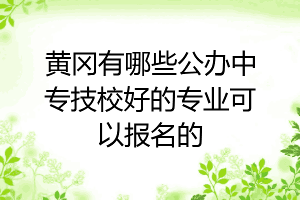 黄冈有哪些公办中专技校好的专业可以报名的