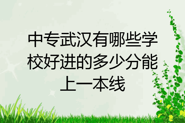 中专武汉有哪些学校好进的多少分能上一本线