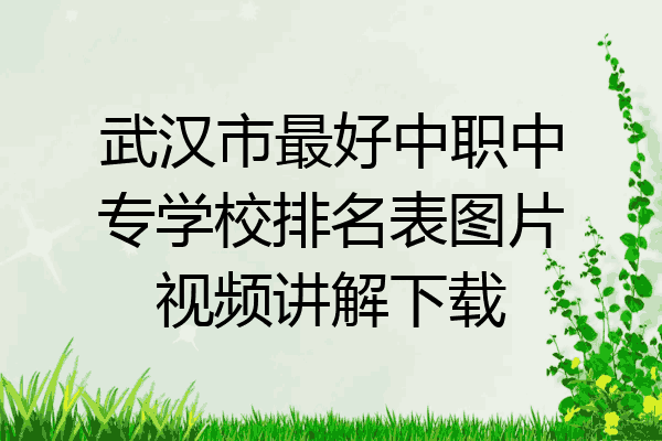 武汉市最好中职中专学校排名表图片视频讲解下载