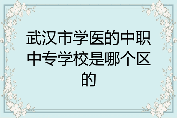 武汉市学医的中职中专学校是哪个区的