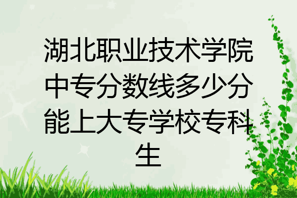 湖北职业技术学院中专分数线多少分能上大专学校专科生