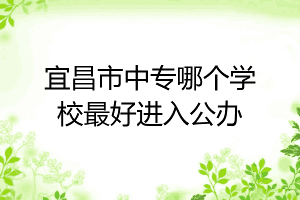 宜昌市中专哪个学校最好进入公办