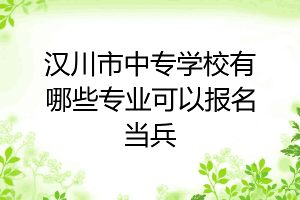 汉川市中专学校有哪些专业可以报名当兵