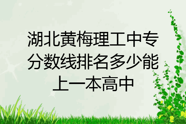 湖北黄梅理工中专分数线排名多少能上一本高中