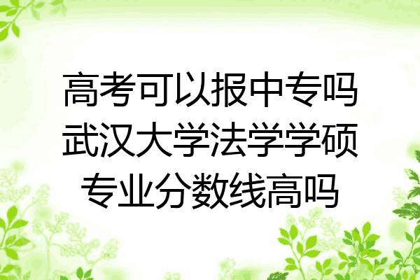 高考可以报中专吗武汉大学法学学硕专业分数线高吗