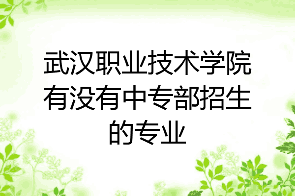 武汉职业技术学院有没有中专部招生的专业