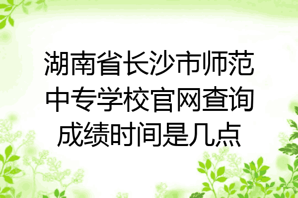 湖南省长沙市师范中专学校官网查询成绩时间是几点