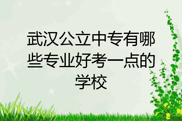武汉公立中专有哪些专业好考一点的学校