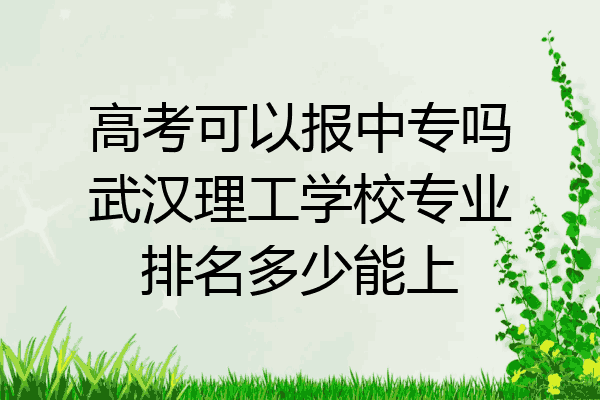 高考可以报中专吗武汉理工学校专业排名多少能上