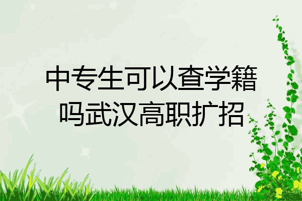 中专生可以查学籍吗武汉高职扩招