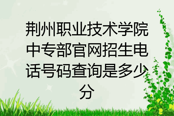 荆州职业技术学院中专部官网招生电话号码查询是多少分