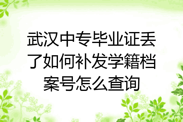 武汉中专毕业证丢了如何补发学籍档案号怎么查询