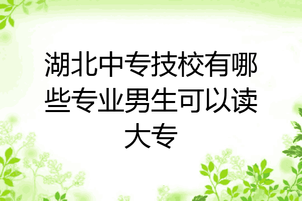 湖北中专技校有哪些专业男生可以读大专