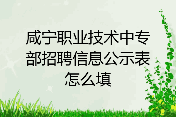 咸宁职业技术中专部招聘信息公示表怎么填