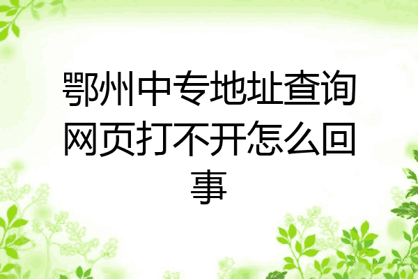 鄂州中专地址查询网页打不开怎么回事