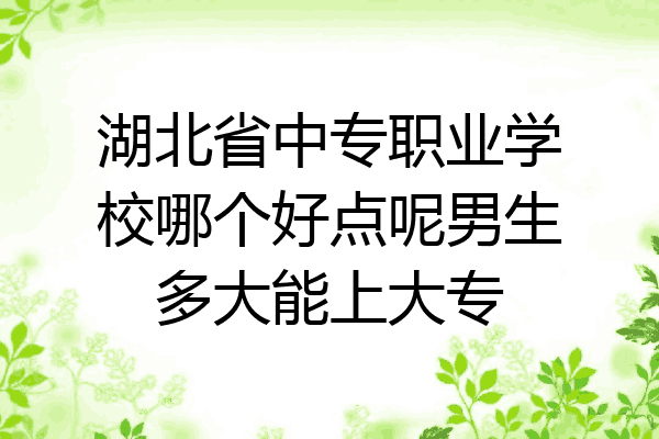 湖北省中专职业学校哪个好点呢男生多大能上大专