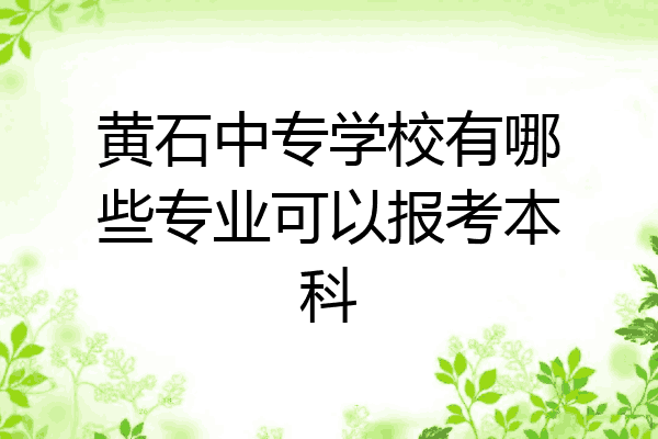 黄石中专学校有哪些专业可以报考本科