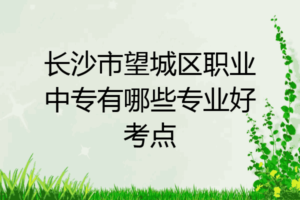长沙市望城区职业中专有哪些专业好考点