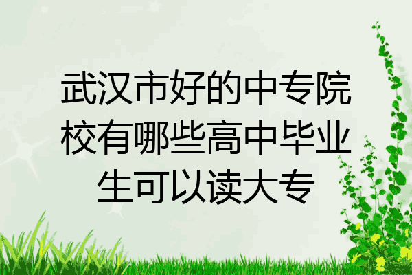 武汉市好的中专院校有哪些高中毕业生可以读大专
