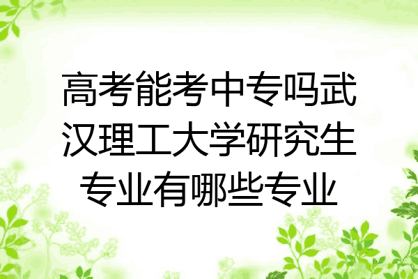 高考能考中专吗武汉理工大学研究生专业有哪些专业