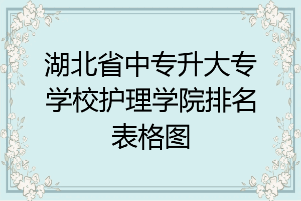 湖北省中专升大专学校护理学院排名表格图