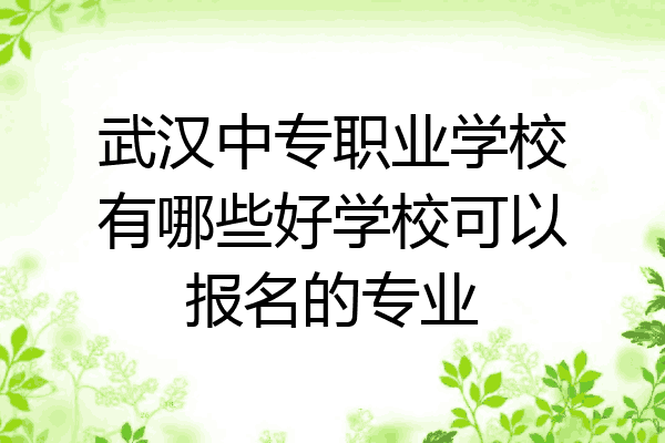 武汉中专职业学校有哪些好学校可以报名的专业