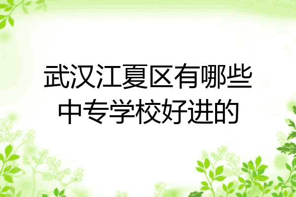 武汉江夏区有哪些中专学校好进的