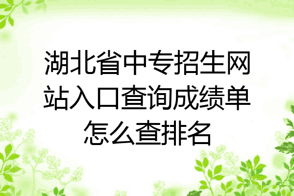 湖北省中专招生网站入口查询成绩单怎么查排名
