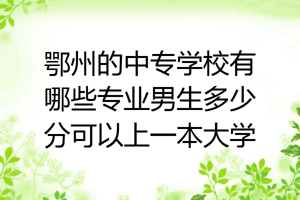 鄂州的中专学校有哪些专业男生多少分可以上一本大学