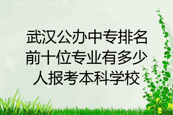 武汉公办中专排名前十位专业有多少人报考本科学校