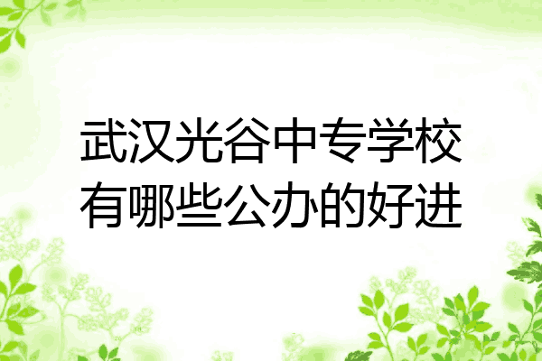 武汉光谷中专学校有哪些公办的好进