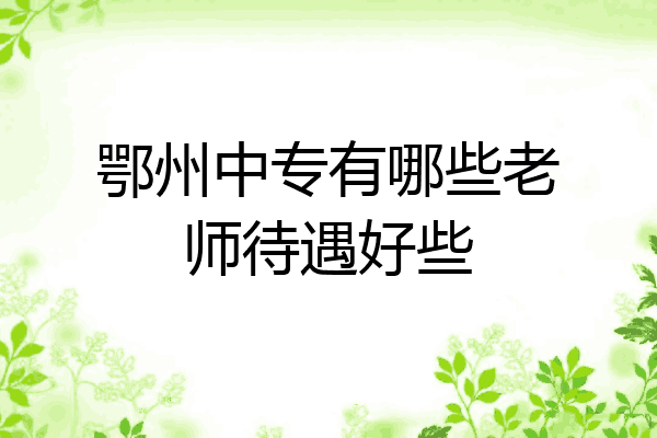 鄂州中专有哪些老师待遇好些