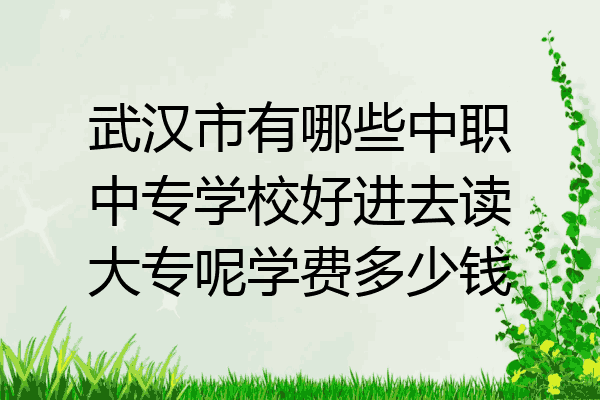 武汉市有哪些中职中专学校好进去读大专呢学费多少钱