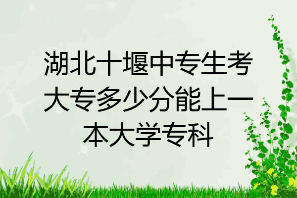 湖北十堰中专生考大专多少分能上一本大学专科