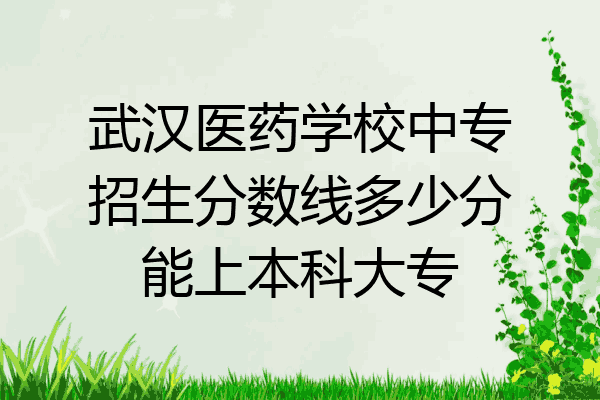 武汉医药学校中专招生分数线多少分能上本科大专