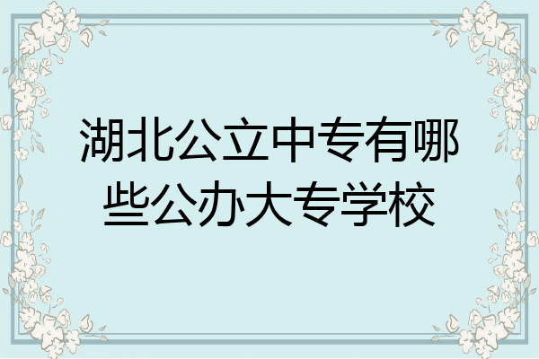 湖北公立中专有哪些公办大专学校