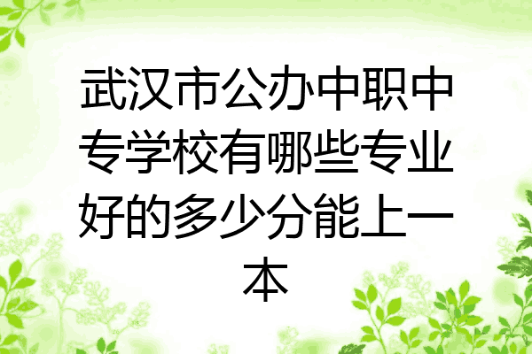 武汉市公办中职中专学校有哪些专业好的多少分能上一本
