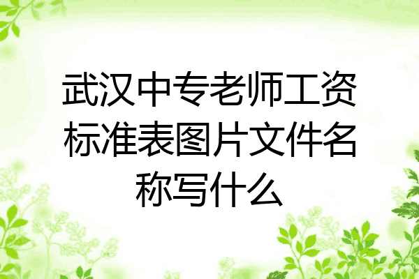 武汉中专老师工资标准表图片文件名称写什么