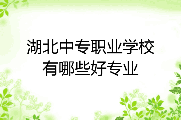 湖北中专职业学校有哪些好专业