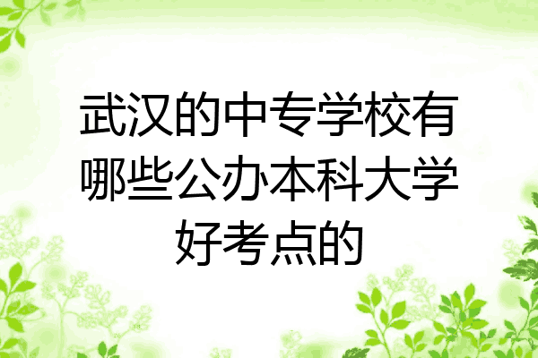 武汉的中专学校有哪些公办本科大学好考点的
