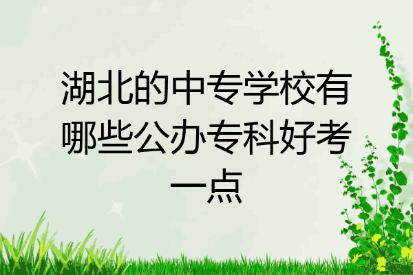 湖北的中专学校有哪些公办专科好考一点