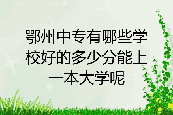 鄂州中专有哪些学校好的多少分能上一本大学呢