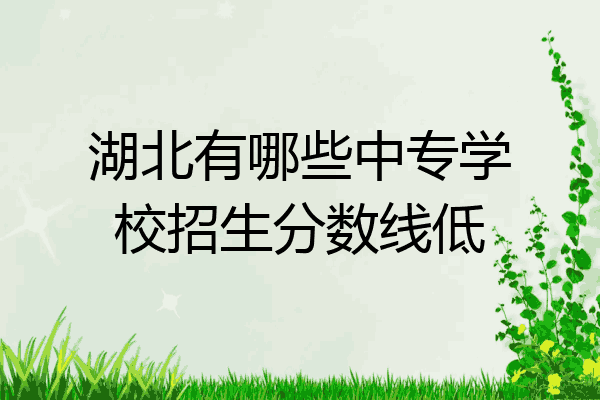 湖北有哪些中专学校招生分数线低