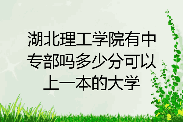 湖北理工学院有中专部吗多少分可以上一本的大学