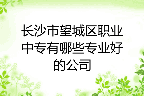 长沙市望城区职业中专有哪些专业好的公司