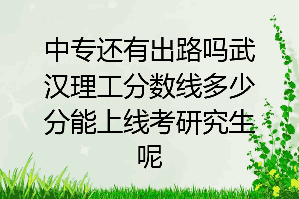 中专还有出路吗武汉理工分数线多少分能上线考研究生呢