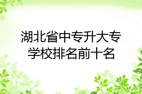 湖北省中专升大专学校排名前十名